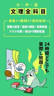 勉強質問 ラクモン -ハイレベル先生が勉強の答え解説 screenshot 3