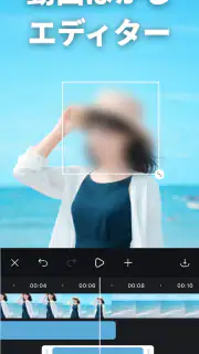 動画ぼかし - モザイク screenshot 1
