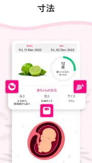 妊娠出産 - ベビーカレンダー - 妊娠計算機 とカレンダー screenshot 3