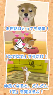 子犬のかわいい育成ゲーム - 癒しの犬育成アプリ screenshot 3
