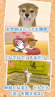 子犬のかわいい育成ゲーム - 癒しの犬育成アプリ screenshot 7