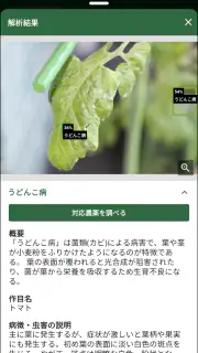 日本農業新聞ニュースアプリ screenshot 4