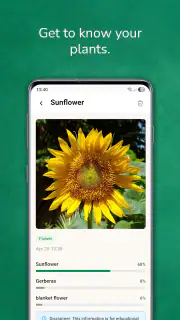 植物 写真 名前 調べる 無料 screenshot 2