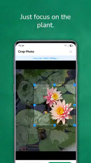 植物 写真 名前 調べる 無料 screenshot 3