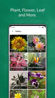 植物 写真 名前 調べる 無料 screenshot 4