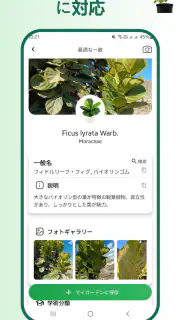 植物識別子 screenshot 2