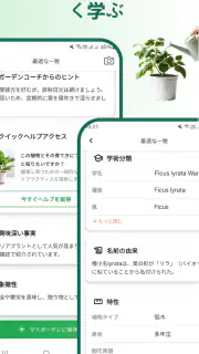 植物識別子 screenshot 3