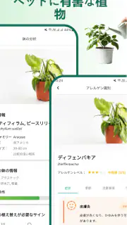 植物識別子 screenshot 5