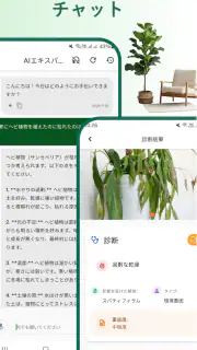 植物識別子 screenshot 7