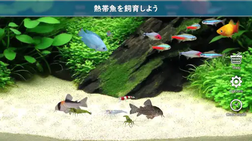 熱帯魚育成「ミニアクア」癒しのアクアリウム体験 screenshot 2