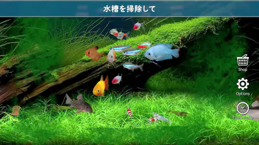 熱帯魚育成「ミニアクア」癒しのアクアリウム体験 screenshot 3