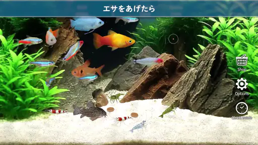 熱帯魚育成「ミニアクア」癒しのアクアリウム体験 screenshot 4