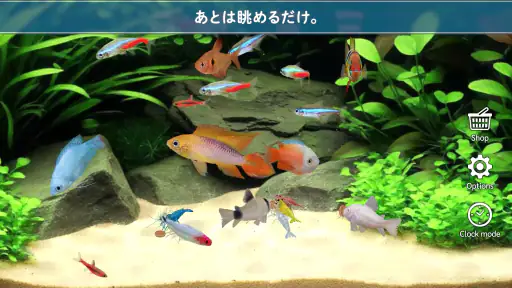 熱帯魚育成「ミニアクア」癒しのアクアリウム体験 screenshot 5