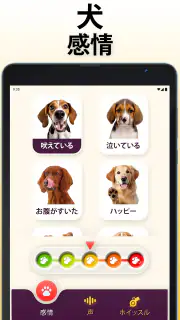 犬語翻訳アプリ: 犬の言葉がわかるアプリ screenshot 7