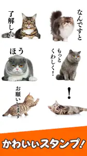 猫スタンプ（実写スタンプ） screenshot 1