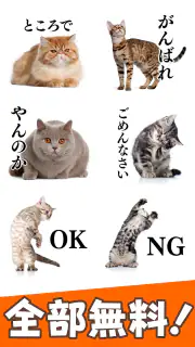 猫スタンプ（実写スタンプ） screenshot 2