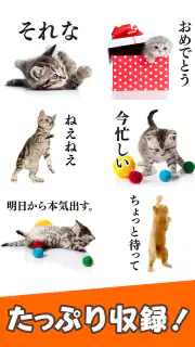 猫スタンプ（実写スタンプ） screenshot 3