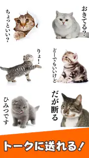 猫スタンプ（実写スタンプ） screenshot 4
