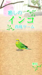 癒しのインコ育成ゲーム screenshot 1