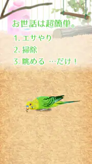 癒しのインコ育成ゲーム screenshot 2