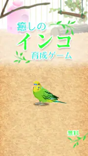 癒しのインコ育成ゲーム screenshot 4