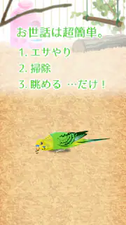 癒しのインコ育成ゲーム screenshot 5