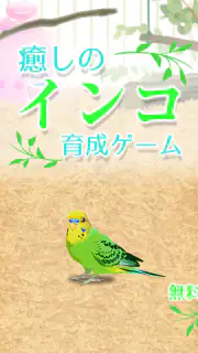癒しのインコ育成ゲーム screenshot 7