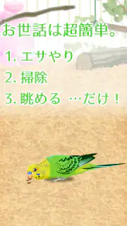 癒しのインコ育成ゲーム screenshot 8