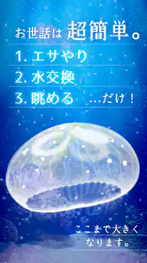 癒しのクラゲ育成ゲーム - 無料放置育成ゲーム screenshot 2
