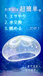 癒しのクラゲ育成ゲーム - 無料放置育成ゲーム screenshot 5