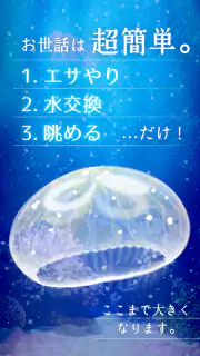 癒しのクラゲ育成ゲーム - 無料放置育成ゲーム screenshot 5