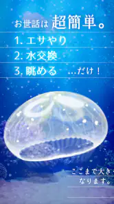 癒しのクラゲ育成ゲーム - 無料放置育成ゲーム screenshot 8