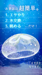 癒しのクラゲ育成ゲーム - 無料放置育成ゲーム screenshot 8