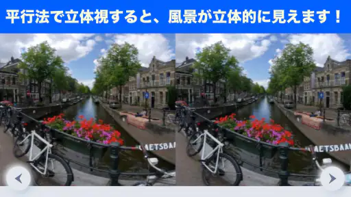 立体視で視力回復トレーニング screenshot 1