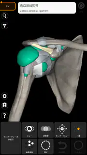 解剖学 - 3Dアトラス screenshot 4