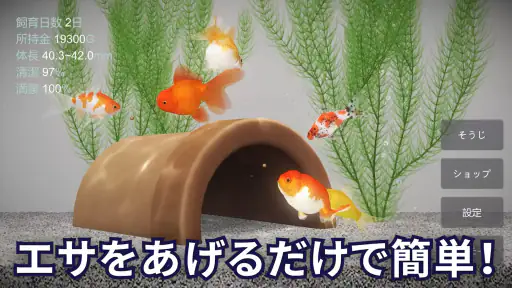 金魚育成アプリ・ポケット金魚 screenshot 2