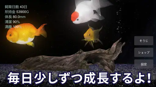 金魚育成アプリ・ポケット金魚 screenshot 3