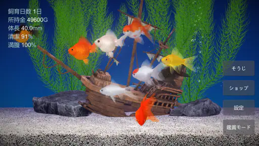 金魚育成アプリ・ポケット金魚 screenshot 4