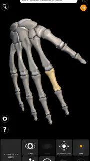 骨格 | 解剖学3D アトラス screenshot 4