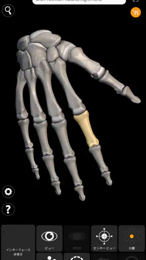 骨格 | 解剖学3D アトラス screenshot
