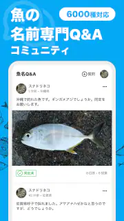 魚みっけ screenshot 2