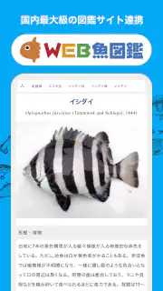 魚みっけ screenshot 3