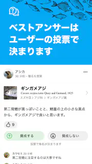魚みっけ screenshot 4