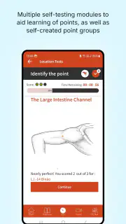 A Manual of Acupuncture 2025 screenshot 5