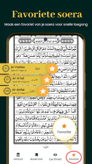 Al Quran Kareem 16 Regels screenshot 6