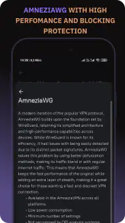 Amnezia VPN screenshot 4