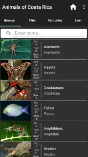 Animals of Costa Rica screenshot 2