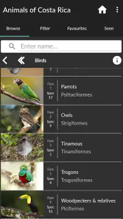 Animals of Costa Rica screenshot 3