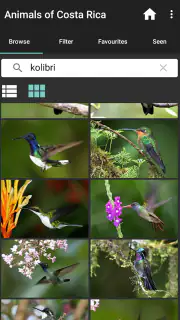Animals of Costa Rica screenshot 4