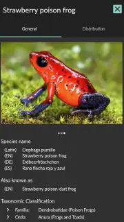 Animals of Costa Rica screenshot 7